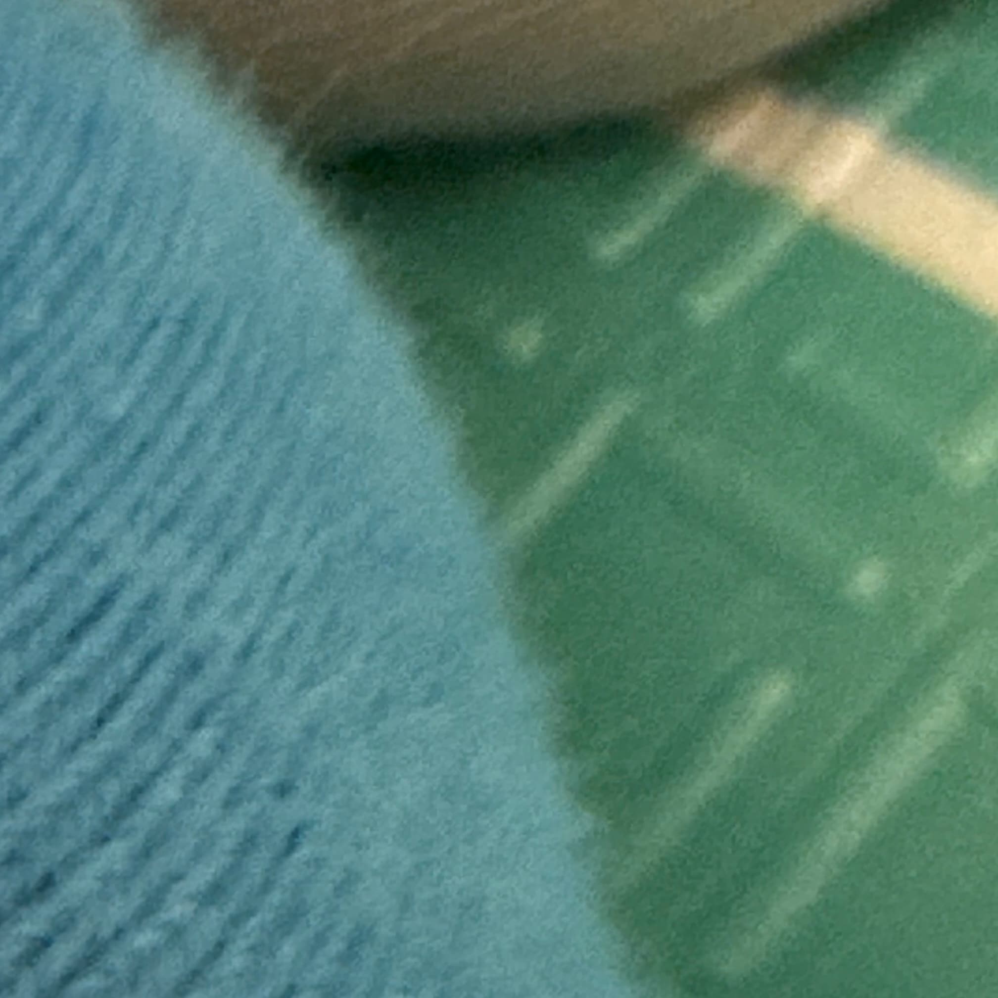 Не любители маленьких собак