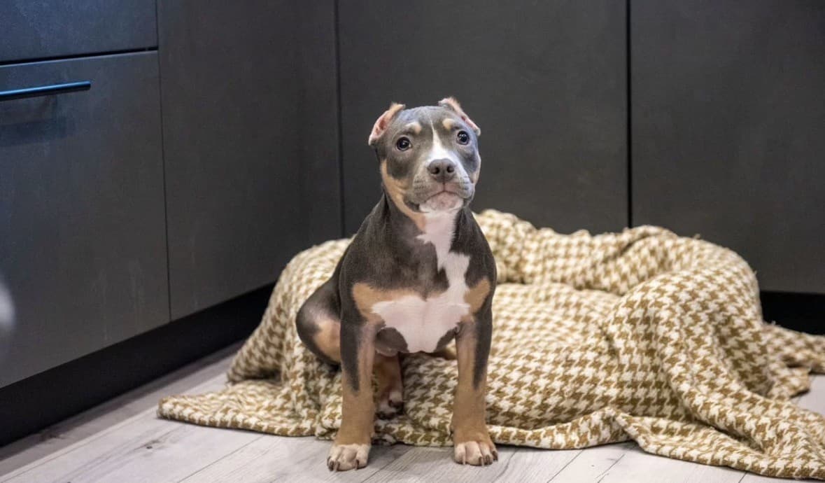 Зумми медиа 2